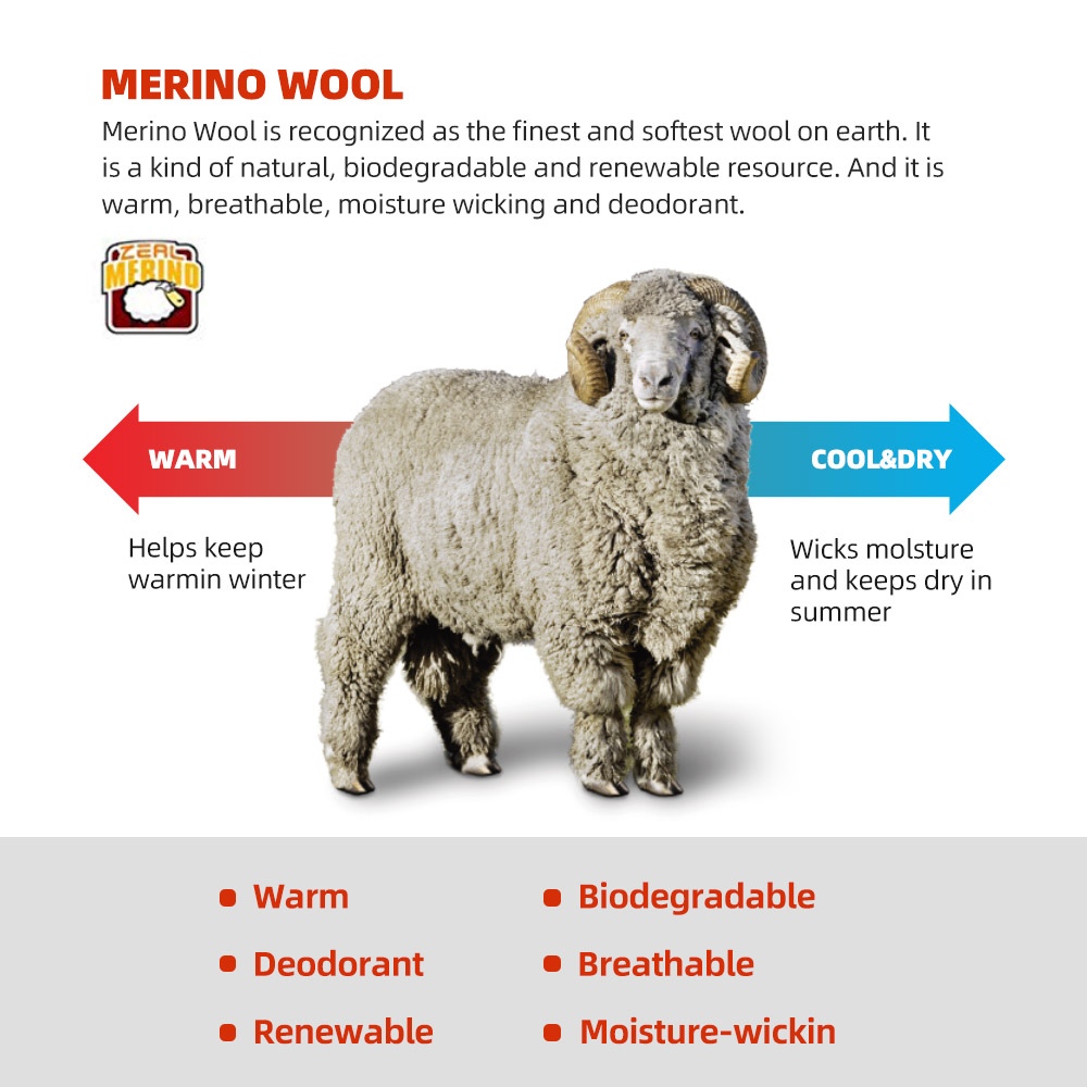 ZEALWOOD Laufsocken aus Merino – Wool Hiking Sock Bewertung und Preis